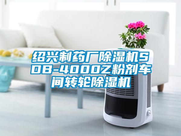 紹興制藥廠除濕機SDB-4000Z粉劑車間轉輪除濕機