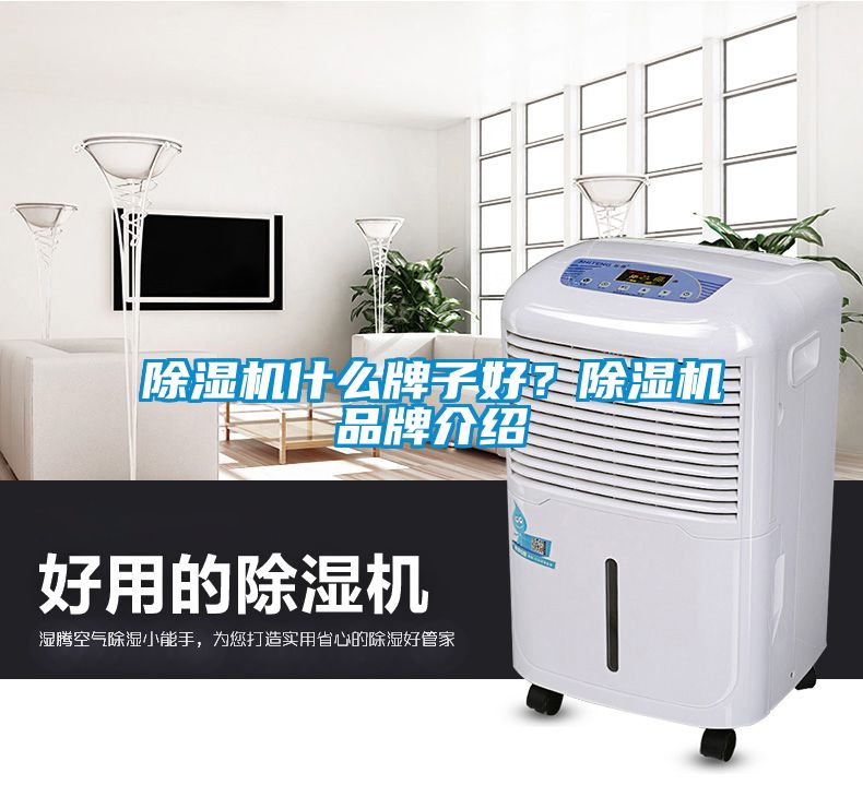 除濕機(jī)什么牌子好？除濕機(jī)品牌介紹