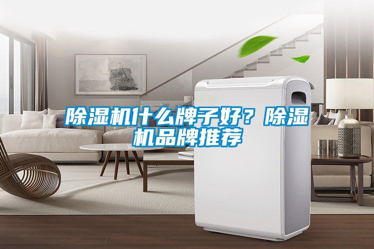 除濕機什么牌子好？除濕機品牌推薦