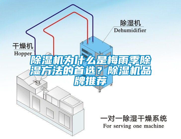 除濕機(jī)為什么是梅雨季除濕方法的首選？除濕機(jī)品牌推薦