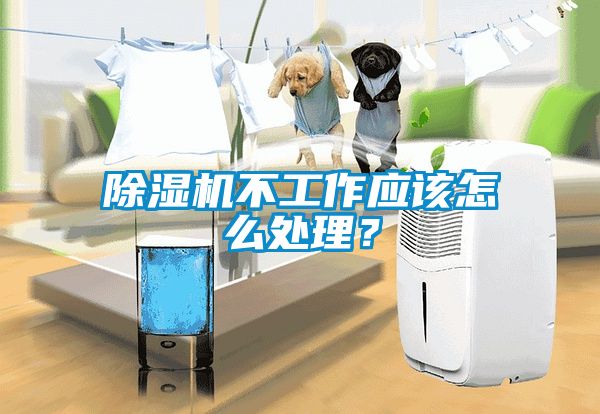 除濕機不工作應該怎么處理？