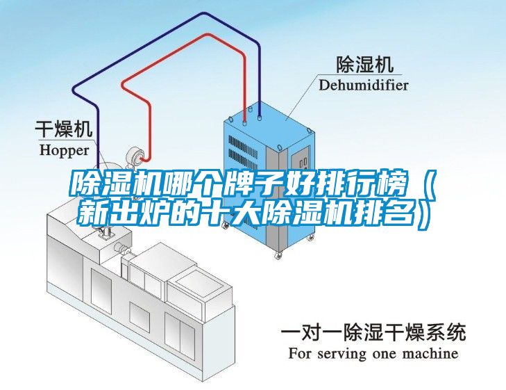 除濕機哪個牌子好排行榜（新出爐的十大除濕機排名）