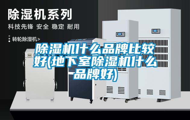 除濕機什么品牌比較好(地下室除濕機什么品牌好)