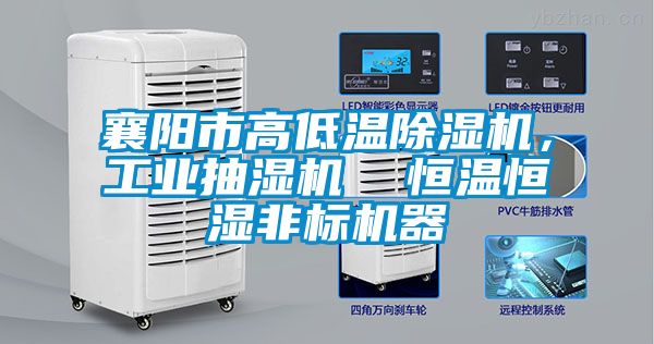 襄陽市高低溫除濕機，工業(yè)抽濕機  恒溫恒濕非標機器