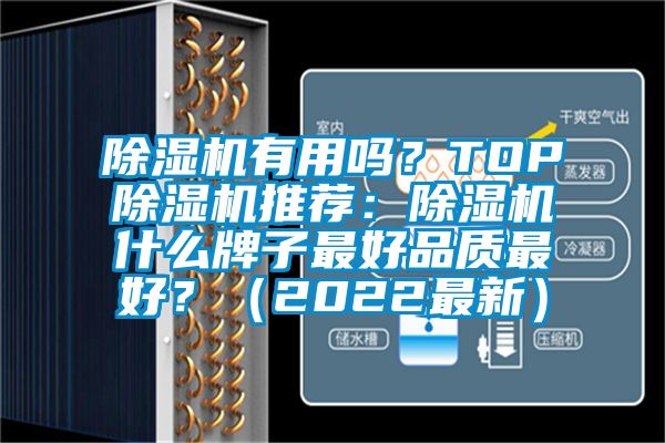 除濕機有用嗎？TOP除濕機推薦：除濕機什么牌子最好品質最好？（2022最新）