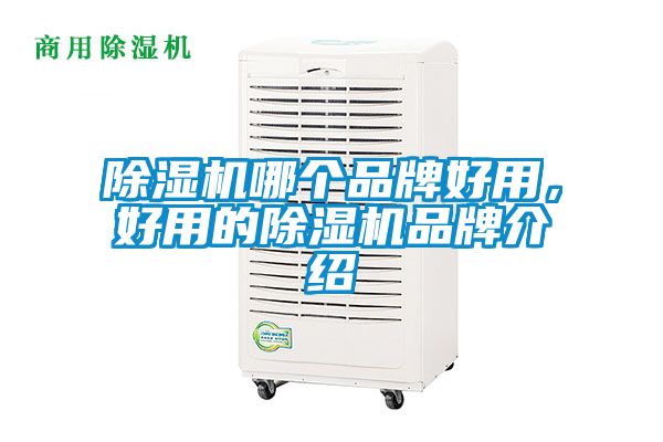 除濕機(jī)哪個(gè)品牌好用，好用的除濕機(jī)品牌介紹