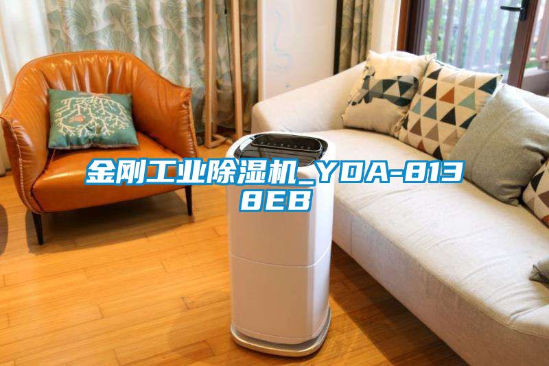 金剛工業(yè)除濕機(jī)_YDA-8138EB