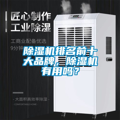 除濕機排名前十大品牌，除濕機有用嗎？