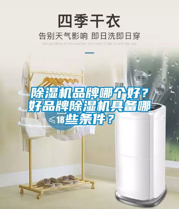 除濕機(jī)品牌哪個(gè)好？好品牌除濕機(jī)具備哪些條件？