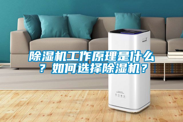 除濕機工作原理是什么？如何選擇除濕機？