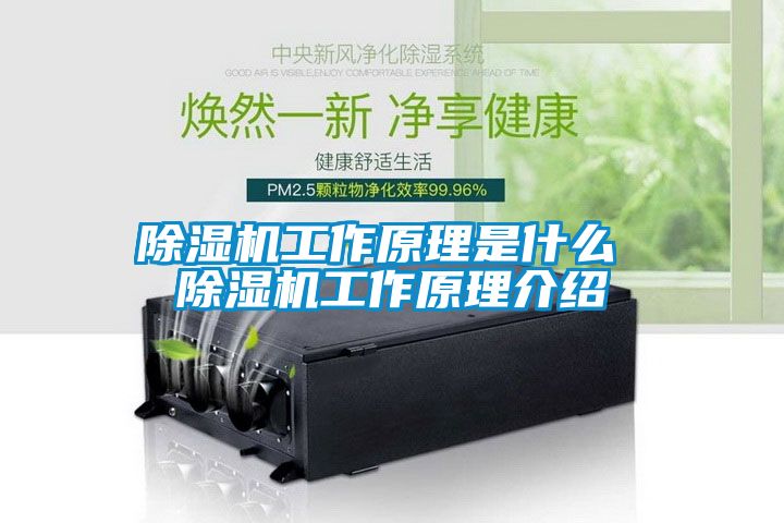 除濕機工作原理是什么 除濕機工作原理介紹