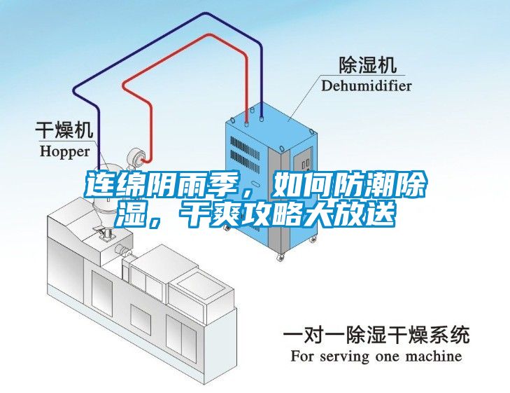 連綿陰雨季，如何防潮除濕，干爽攻略大放送