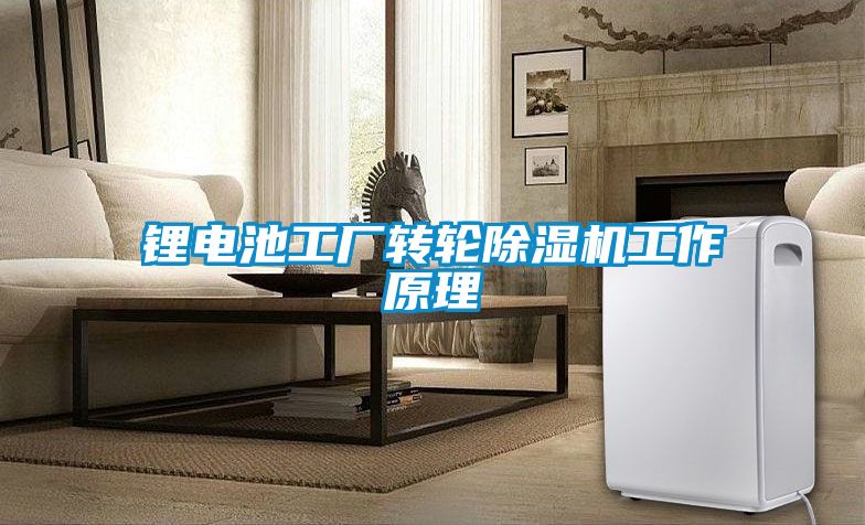 鋰電池工廠轉(zhuǎn)輪除濕機工作原理