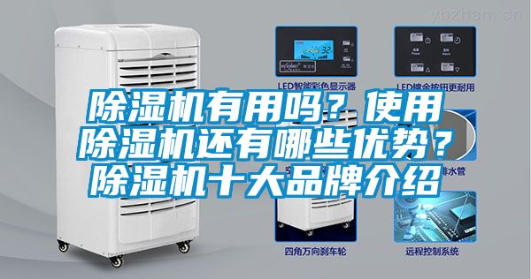 除濕機有用嗎？使用除濕機還有哪些優(yōu)勢？除濕機十大品牌介紹