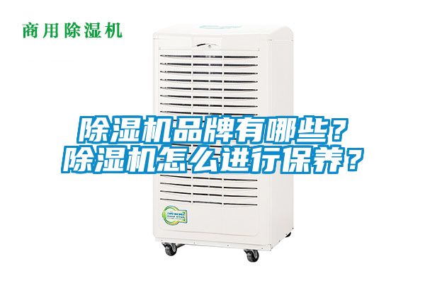 除濕機品牌有哪些？除濕機怎么進行保養(yǎng)？