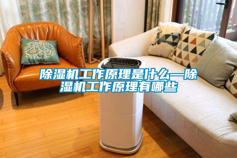 除濕機工作原理是什么—除濕機工作原理有哪些