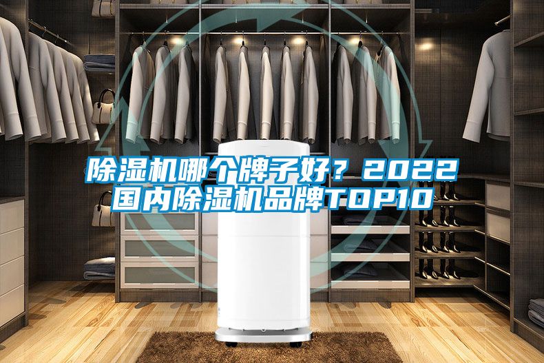 除濕機哪個牌子好？2022國內除濕機品牌TOP10