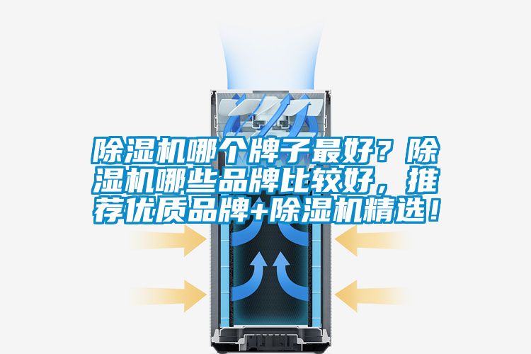 除濕機哪個牌子最好？除濕機哪些品牌比較好，推薦優(yōu)質(zhì)品牌+除濕機精選！