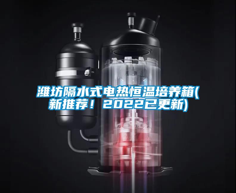 濰坊隔水式電熱恒溫培養(yǎng)箱(新推薦！2022已更新)