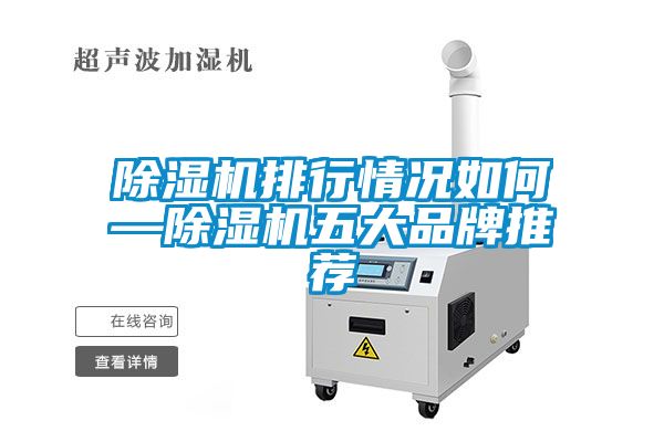 除濕機排行情況如何—除濕機五大品牌推薦