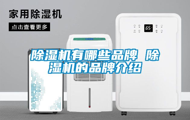 除濕機有哪些品牌 除濕機的品牌介紹