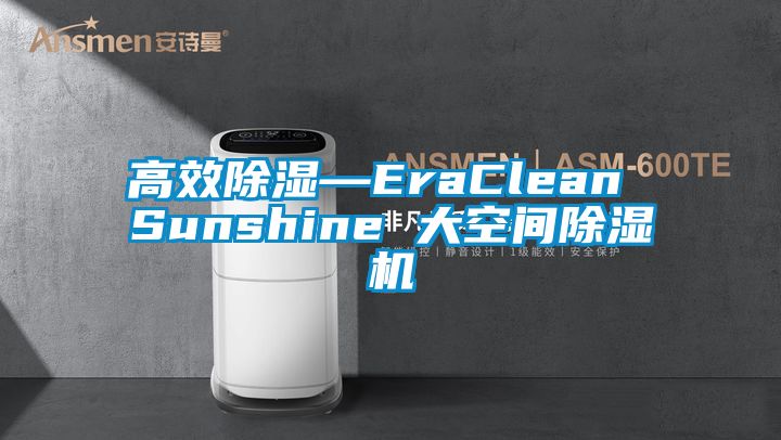 高效除濕—EraClean Sunshine 大空間除濕機(jī)